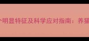 母猫咪发情期的8个明显特征及科学应对指南养猫人必看的饲养知识