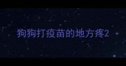 狗狗打疫苗的地方疼