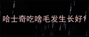 哈士奇吃啥毛发生长好