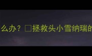 4个月雪纳瑞头小怎么办拯救头小雪纳瑞的5大关键期护理指南