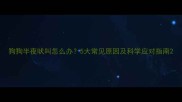 狗狗半夜吠叫怎么办5大常见原因及科学应对指南