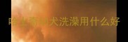 哈士奇幼犬洗澡用什么好