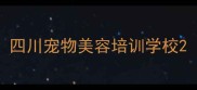 四川宠物美容培训学校
