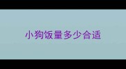 小狗饭量多少合适