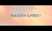 狗瘟疫苗什么时候打