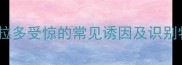 拉布拉多受惊的常见诱因及识别特征