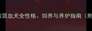 拉布拉多高加索混血犬全性格饲养与养护指南附品种对比图