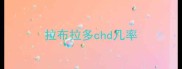 拉布拉多chd几率