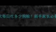 4个月金毛幼犬每日吃多少狗粮新手家长必看科学喂养指南