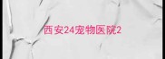 西安24宠物医院