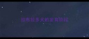 拉布拉多犬的发育阶段