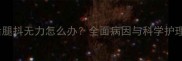 小狗后腿抖无力怎么办全面病因与科学护理指南