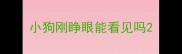 小狗刚睁眼能看见吗