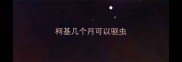 柯基几个月可以驱虫