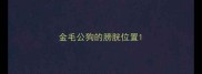 金毛公狗的膀胱位置
