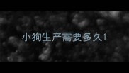 小狗生产需要多久