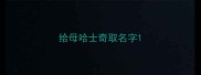 给母哈士奇取名字