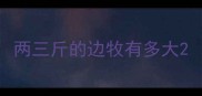 两三斤的边牧有多大