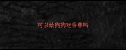 可以给狗狗吃香蕉吗