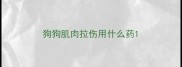 狗狗肌肉拉伤用什么药