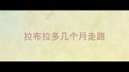 拉布拉多几个月走路
