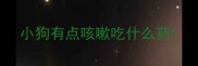 小狗有点咳嗽吃什么药
