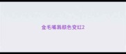 金毛嘴唇颜色变红
