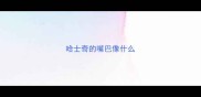 哈士奇的嘴巴像什么