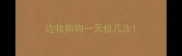 边牧狗狗一天拉几次