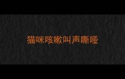 猫咪咳嗽叫声嘶哑