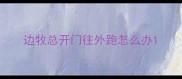 边牧总开门往外跑怎么办