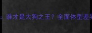 哈士奇VS杜宾谁才是大狗之王全面体型差异与饲养指南