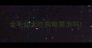 金毛幼犬吃狗粮要泡吗