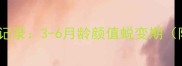 灰泰迪幼犬成长全记录3-6月龄颜值蜕变期附科学养护指南