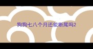 狗狗七八个月还能断尾吗