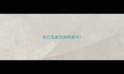 自己在家给狗狗剪毛