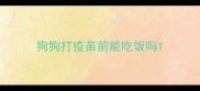 狗狗打疫苗前能吃饭吗