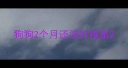 狗狗2个月还没打疫苗