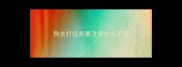 狗去打疫苗要注意什么手续