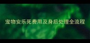 宠物安乐死费用及身后处理全流程