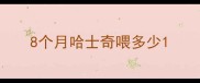 8个月哈士奇喂多少