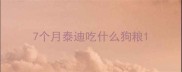 7个月泰迪吃什么狗粮
