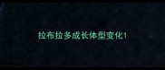 拉布拉多成长体型变化
