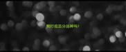 狗打疫苗分品种吗