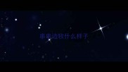 串串边牧什么样子