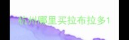 杭州哪里买拉布拉多