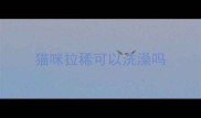 猫咪拉稀可以洗澡吗