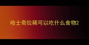 哈士奇拉稀可以吃什么食物