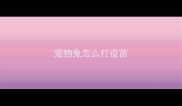 宠物兔怎么打疫苗