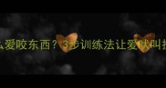 拉布拉多犬为什么爱咬东西3步训练法让爱吠叫拆家犬秒变乖宝宝
